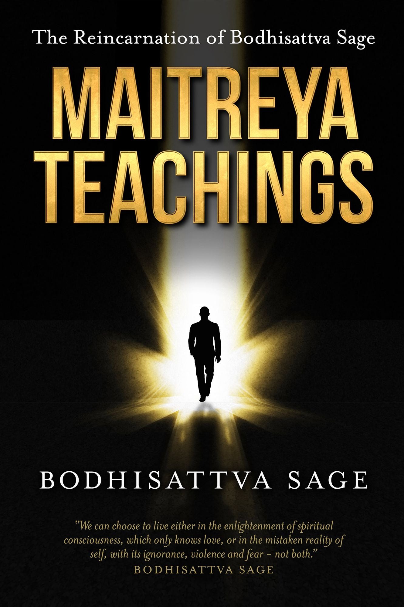 Maitreya Teachings: The Reincarnation of Bodhisattva Sage