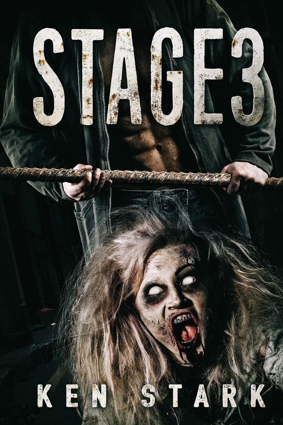 Stage 3: A Post Apocalyptic Thriller