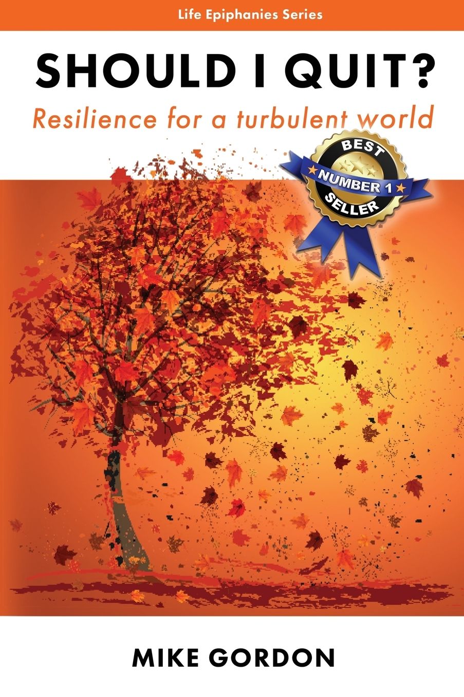Should I Quit?: Resilience for a turbulent world
