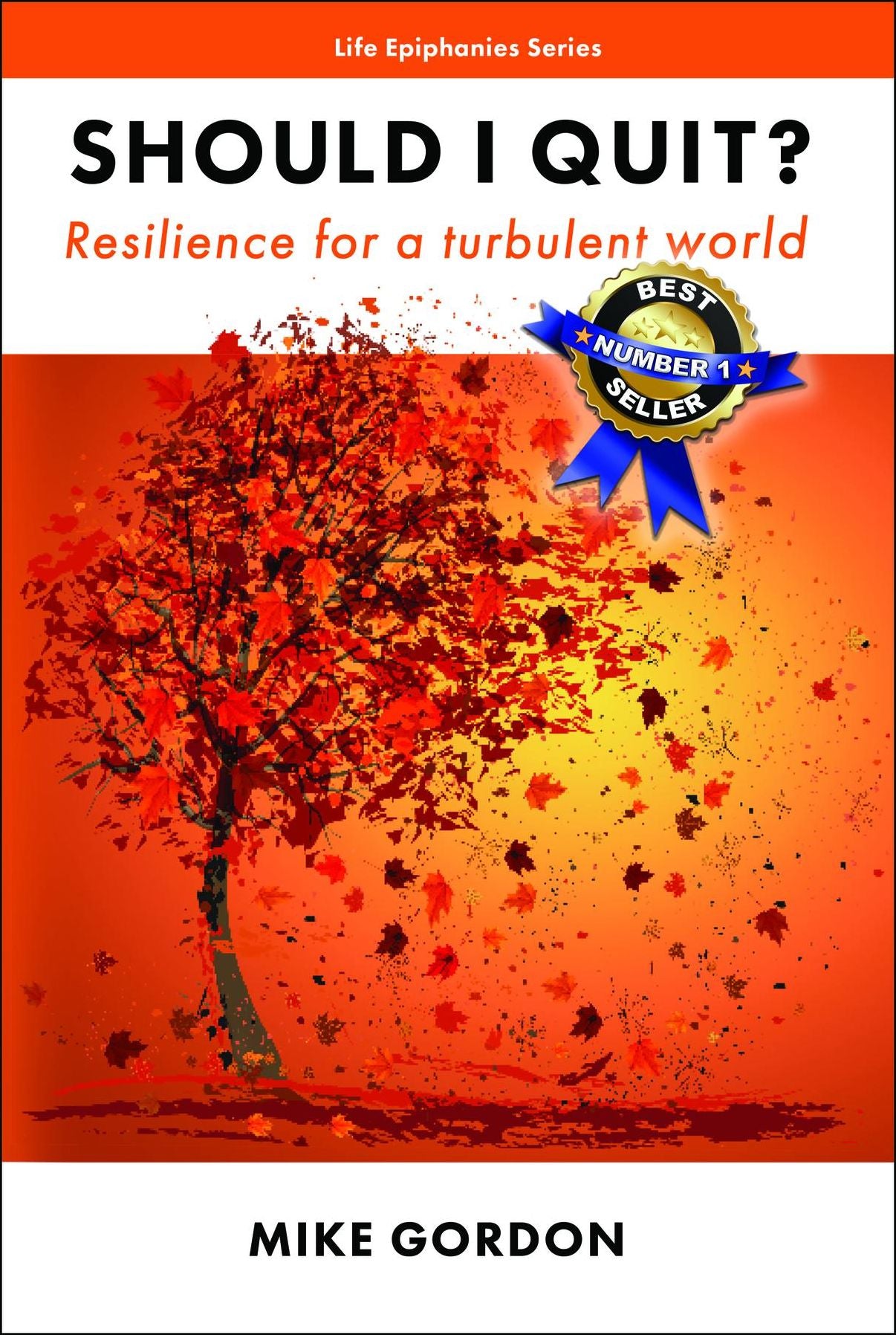 Should I Quit?: Resilience for a turbulent world