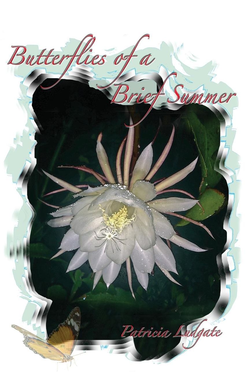 Butterflies of a Brief Summer: Mémoires - les souvenirs sont faits de tels moments