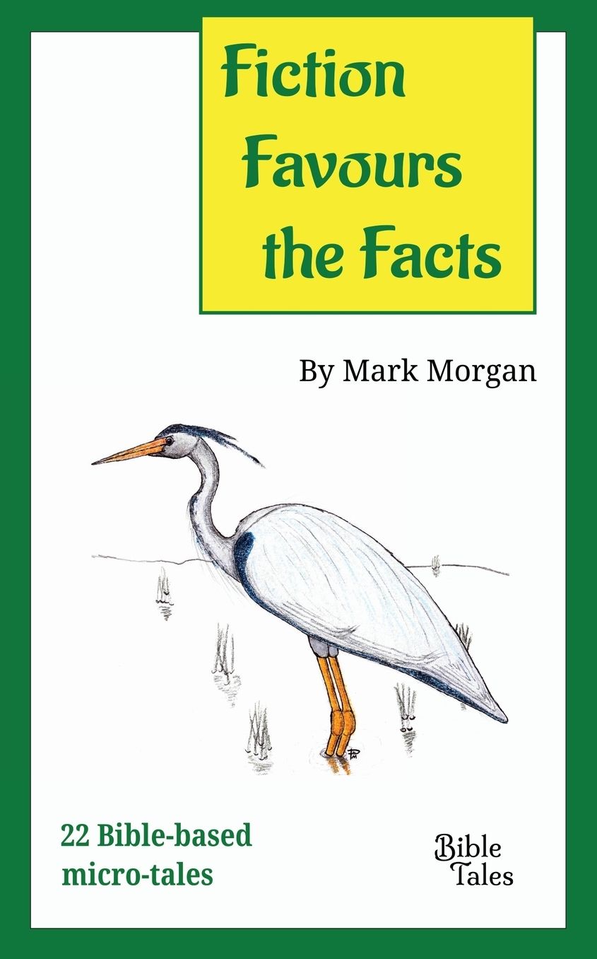 Fiction Favours the Facts: 22 Bible-based micro-tales