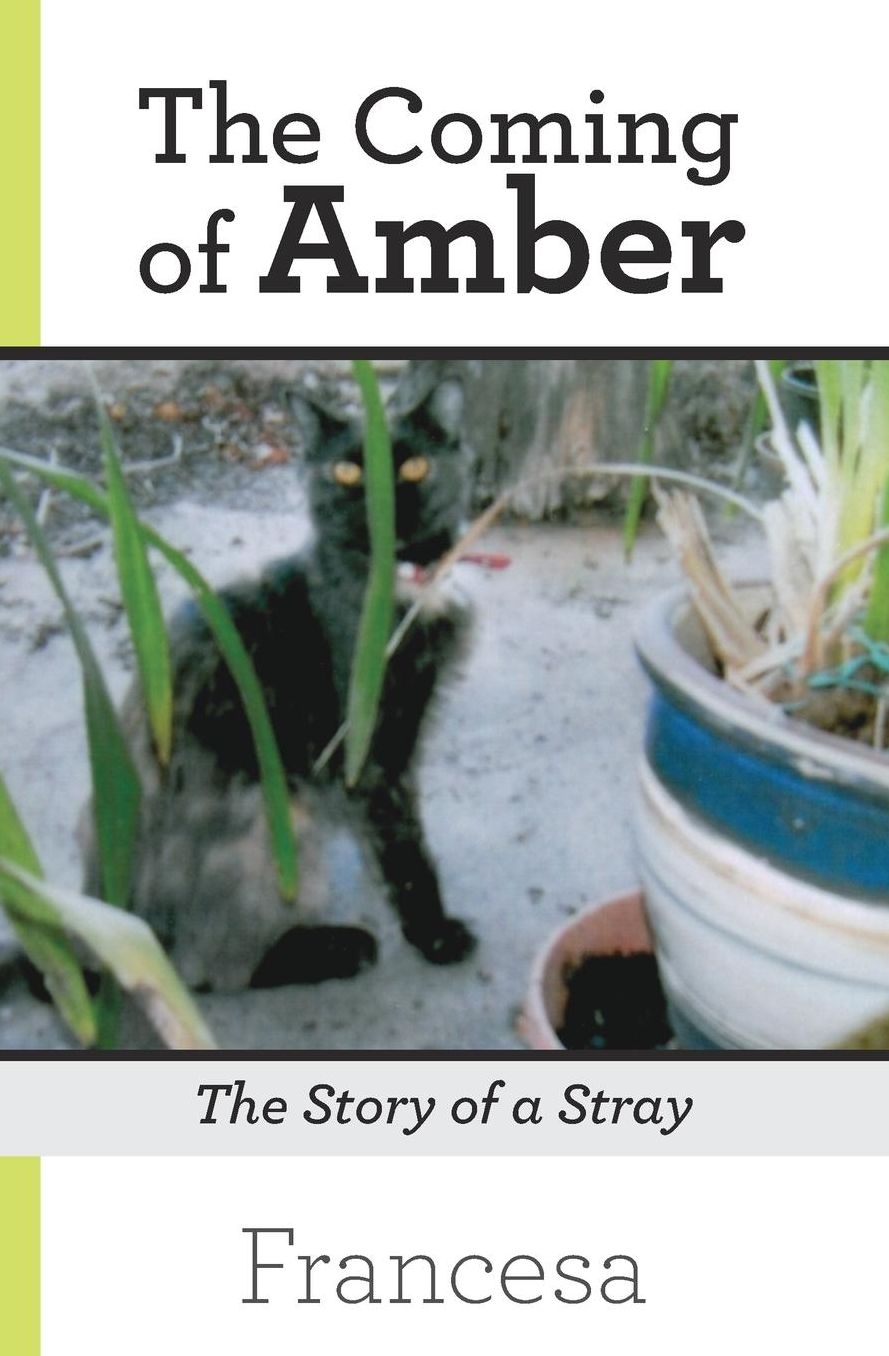 The Coming of Amber: The Story of a Stray
