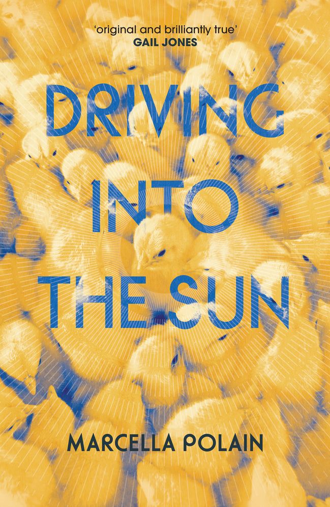 Driving into the Sun