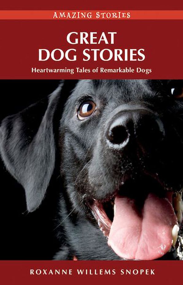 Great Dog Stories: Heartwarming Tales of Remarkable Dogs