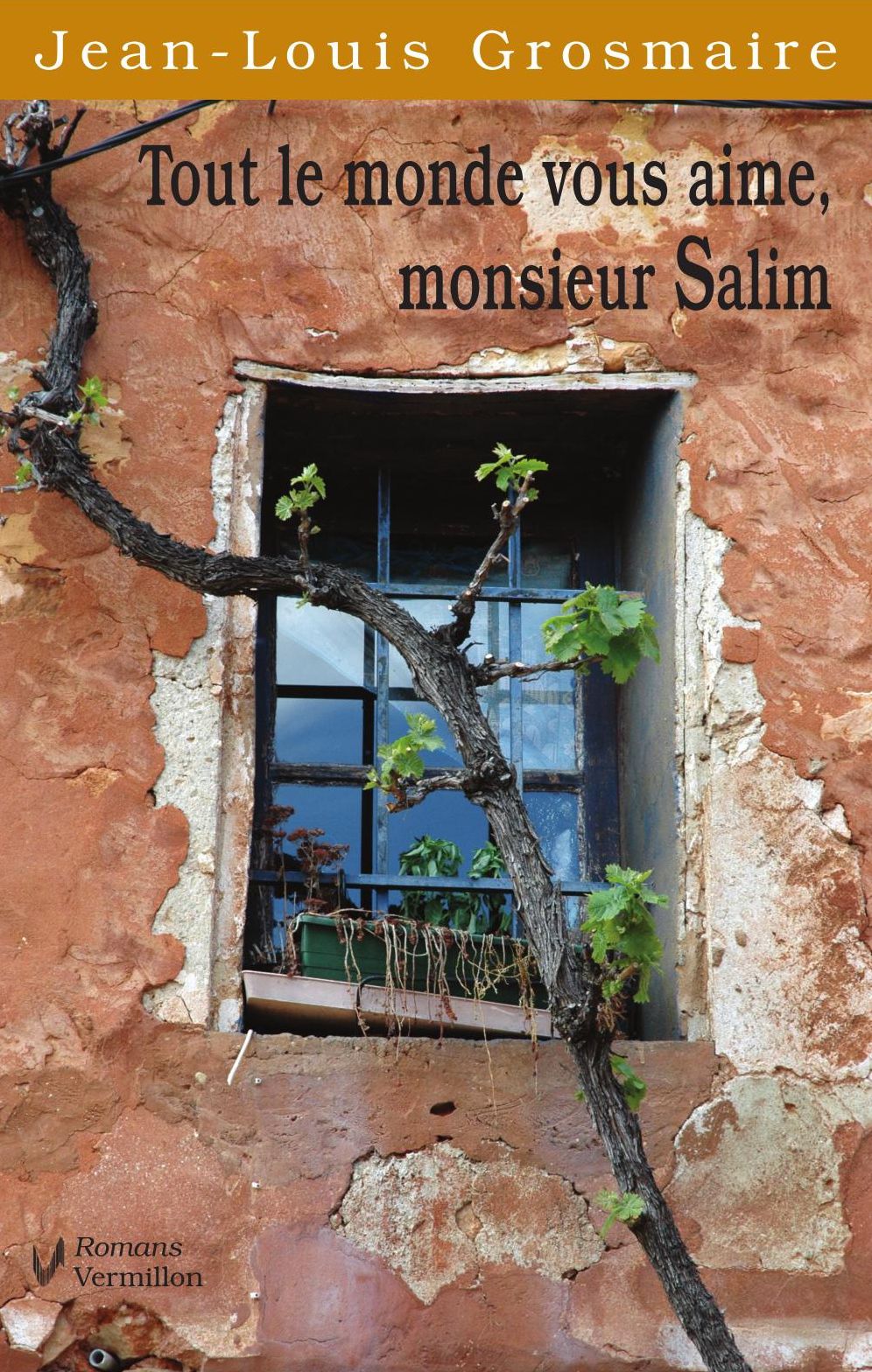 Tout le monde vous aime, monsieur Salim
