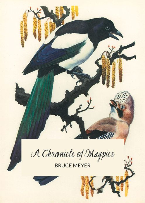 A Chronicle of Magpies