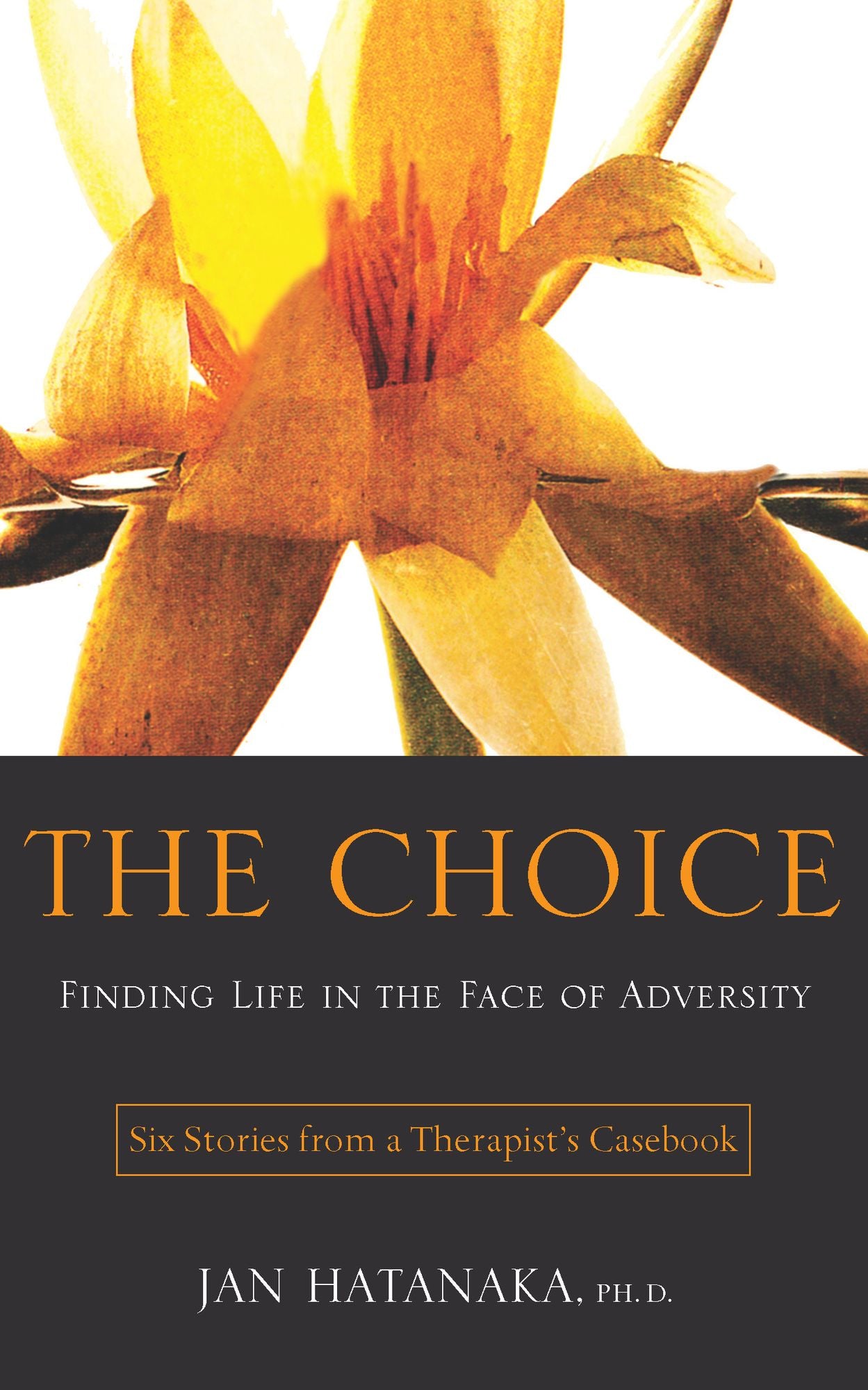 The Choice: Finding Life in the Face of Adversity -- Six Stories from a Therapist's Casebook