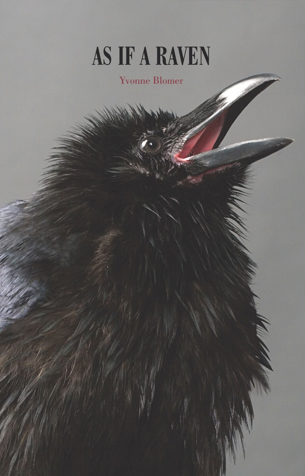 As if a Raven