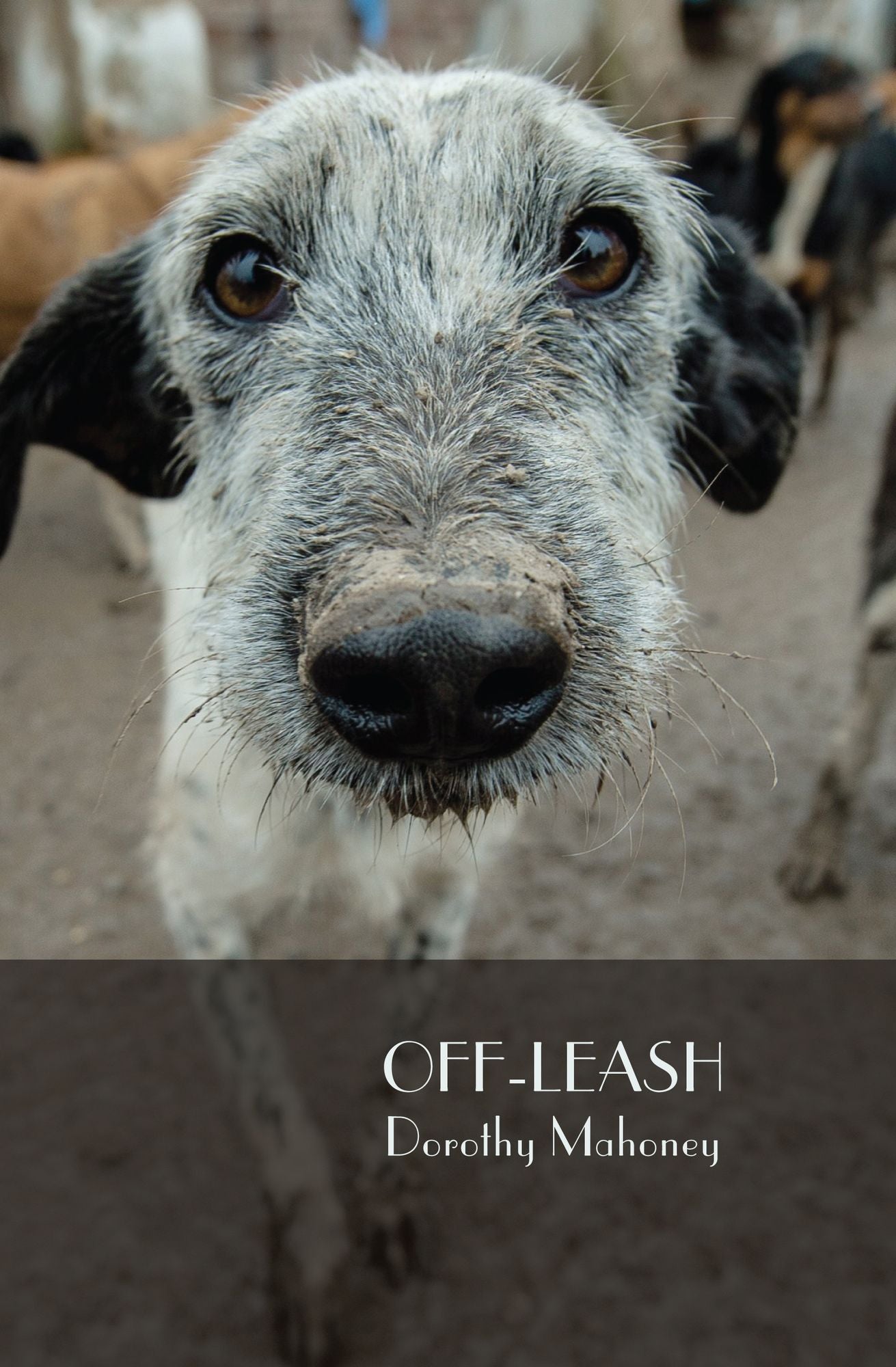 Off-Leash