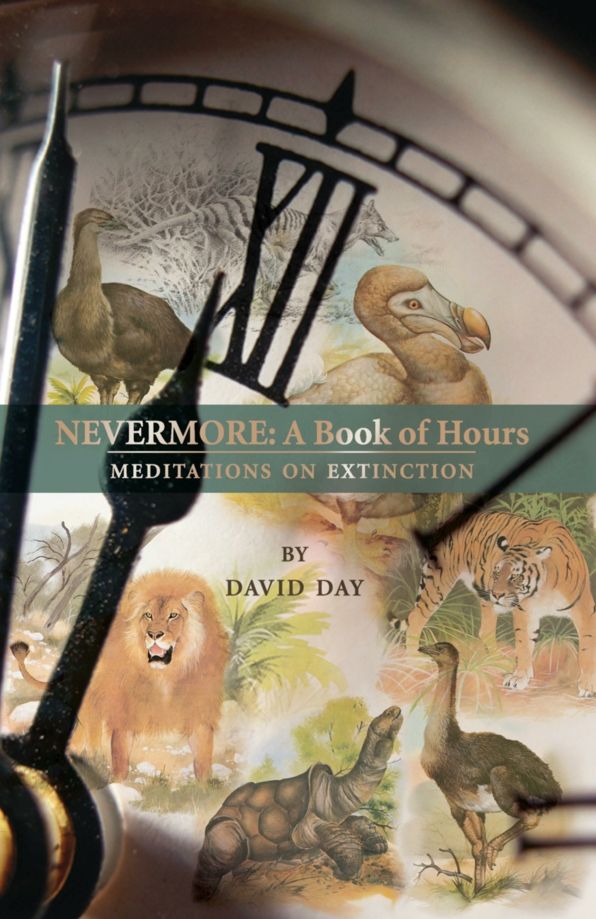 Nevermore: a book of hours