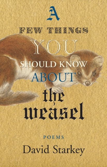 A Few Things You Should Know About the Weasel