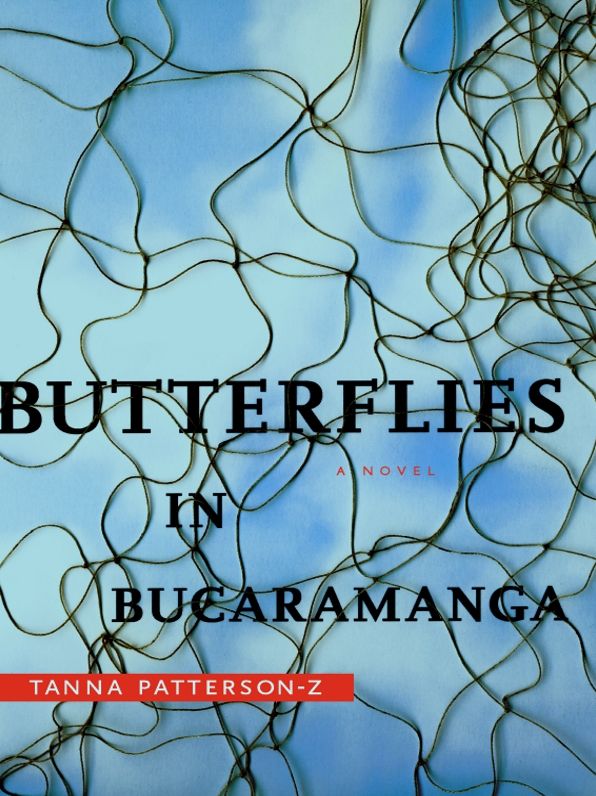 Butterflies in Bucaramanga