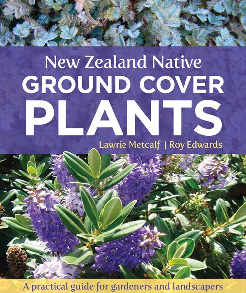 New Zealand Native Ground Cover Plants: A Practical Guide for Gardeners and Landscapers