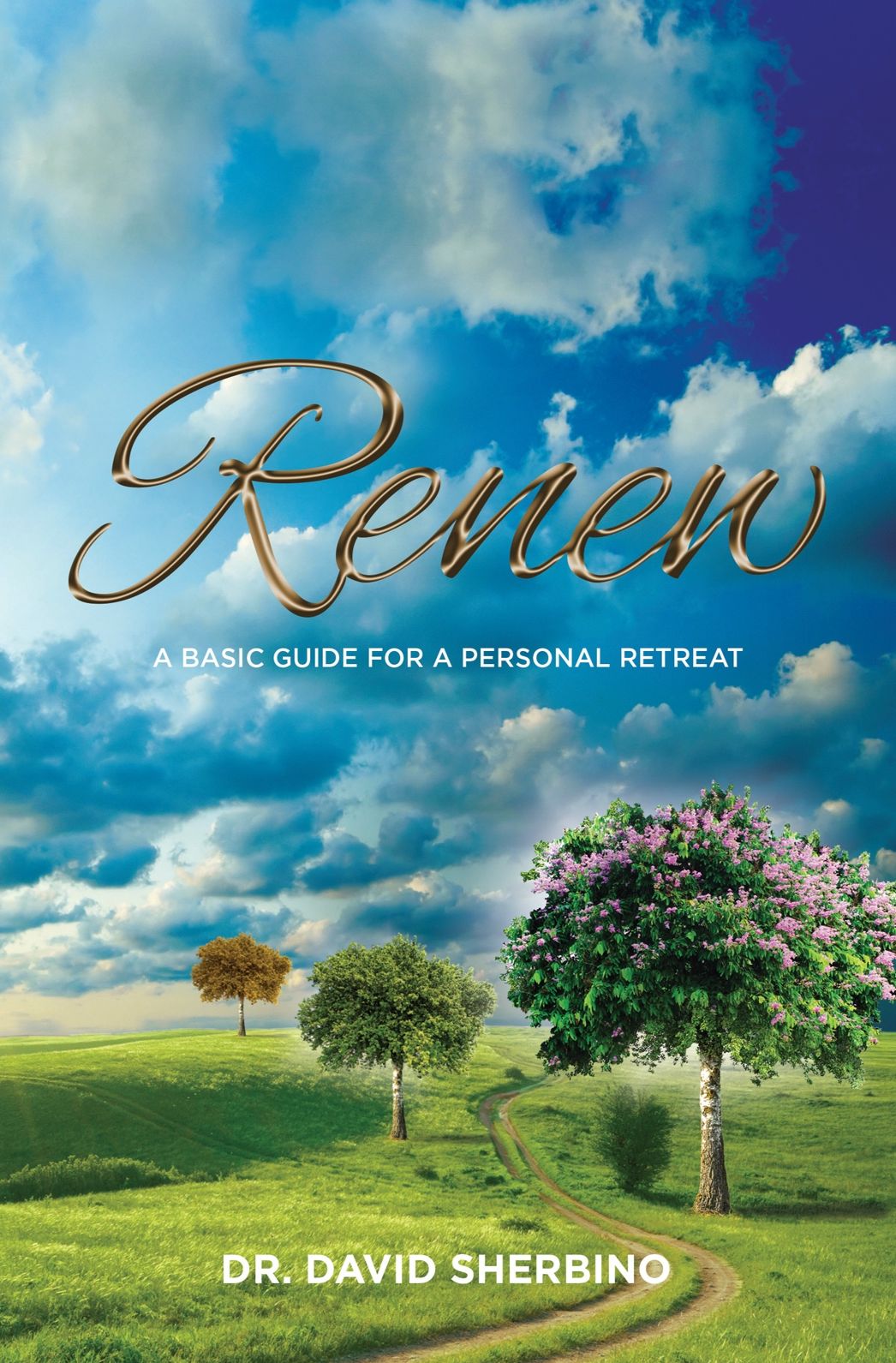 Renew: A Basic Guide For A Personal Retreat