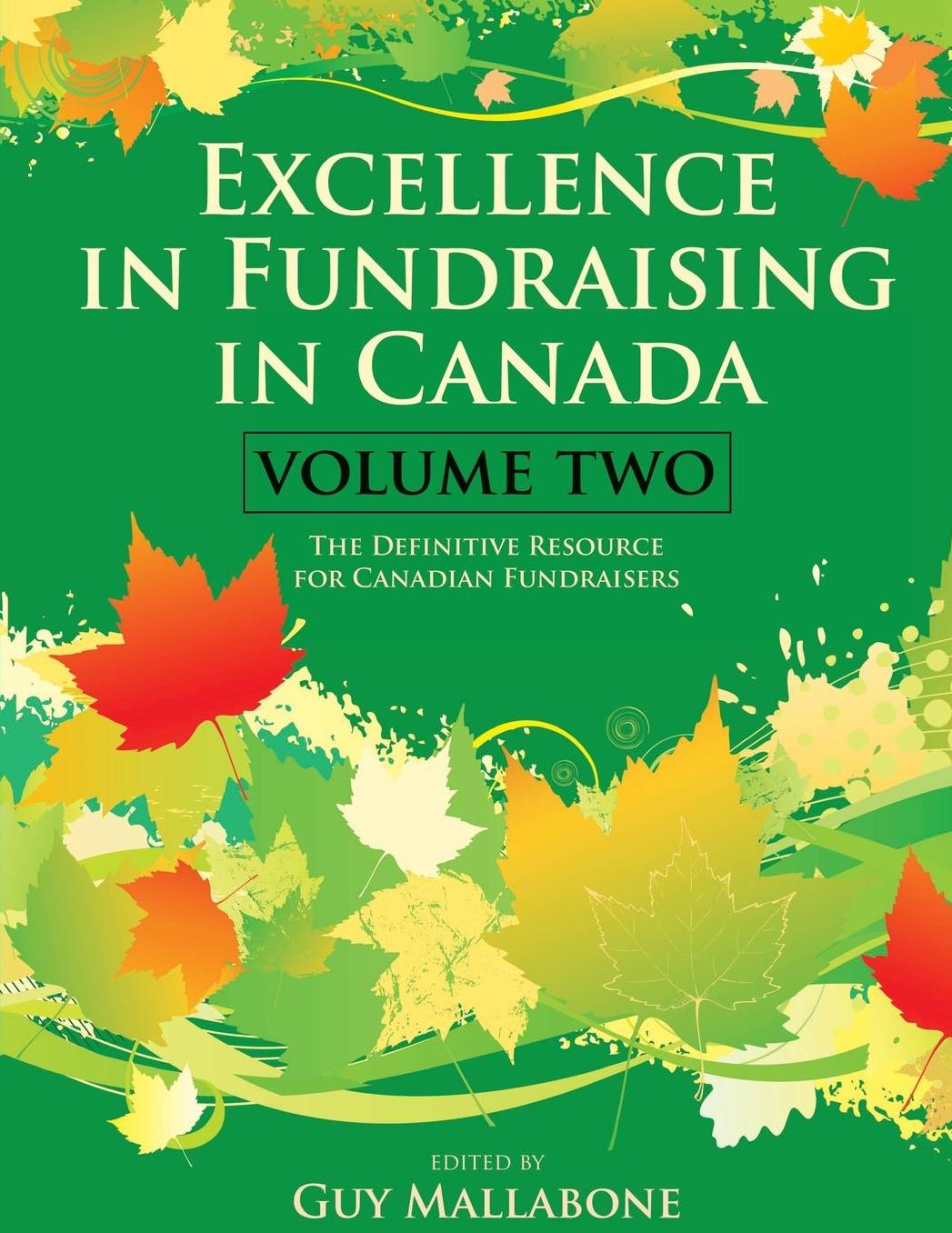 Excellence In Fundraising In Canada Volume 2: The Definitive Resource for Canadian Fundraisers