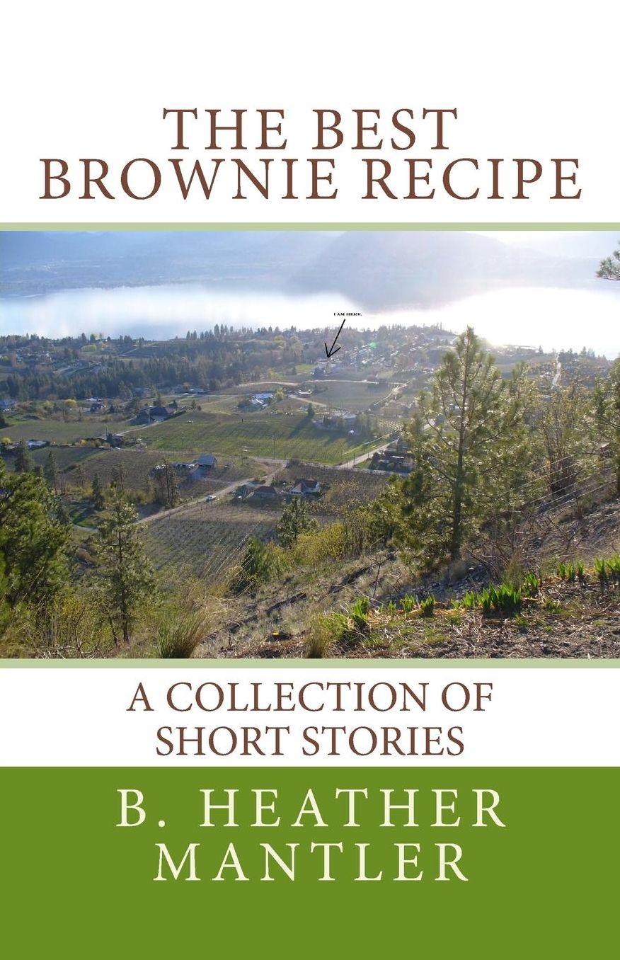 The Best Brownie Recipe: A Collection of Short Stories