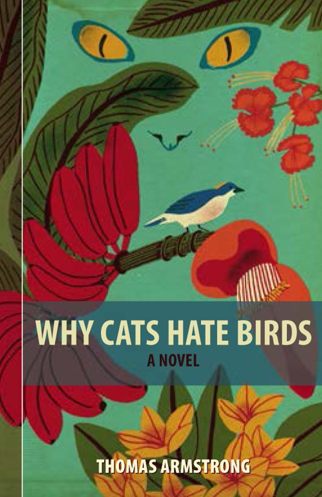Why Cats Hate Birds: Short Stories