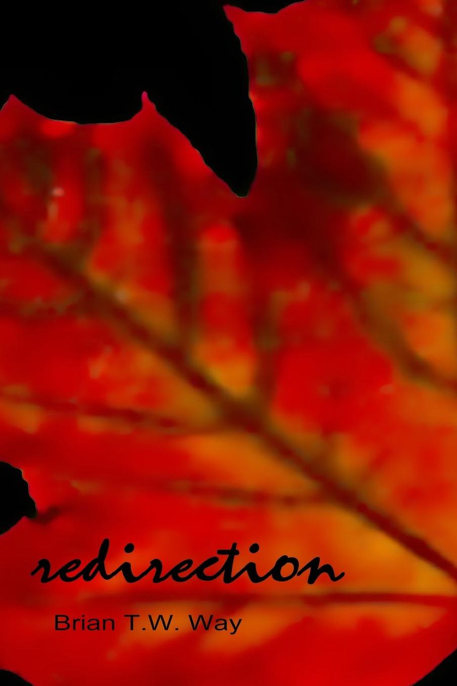 Redirection: The Prime Sonnets and Other Poems