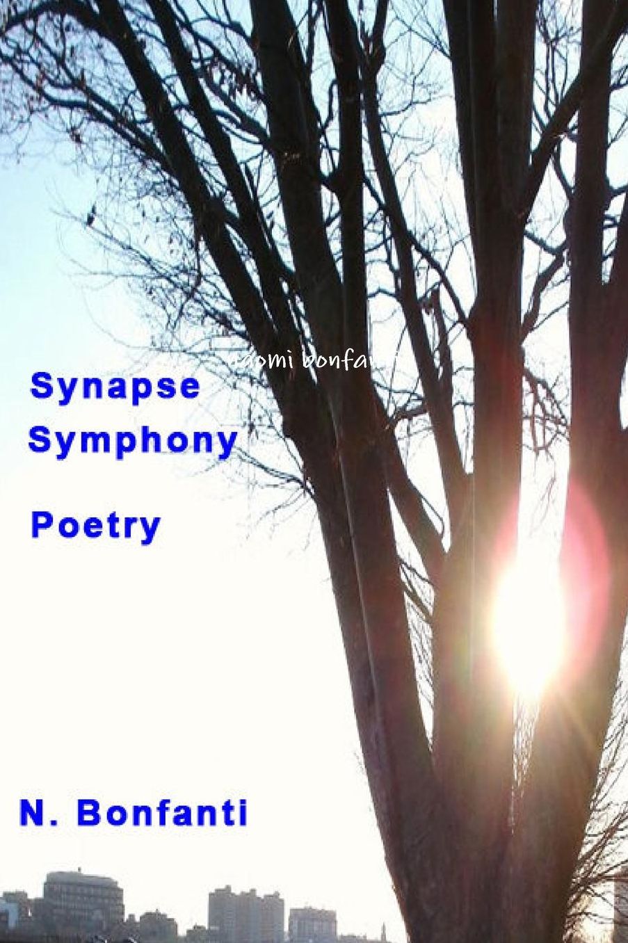 Symphony Synopsis