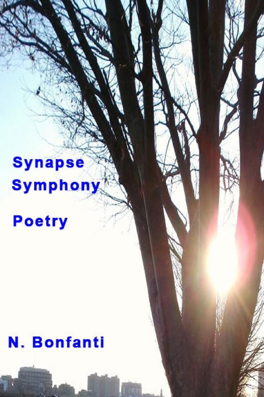 Synapse Symphony