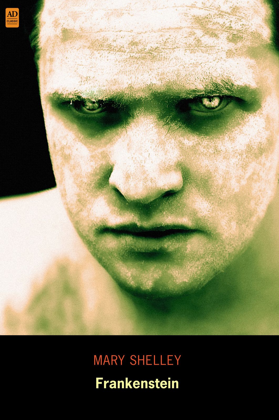 Frankenstein (AD Classic Illustrated): Or, the Modern Prometheus