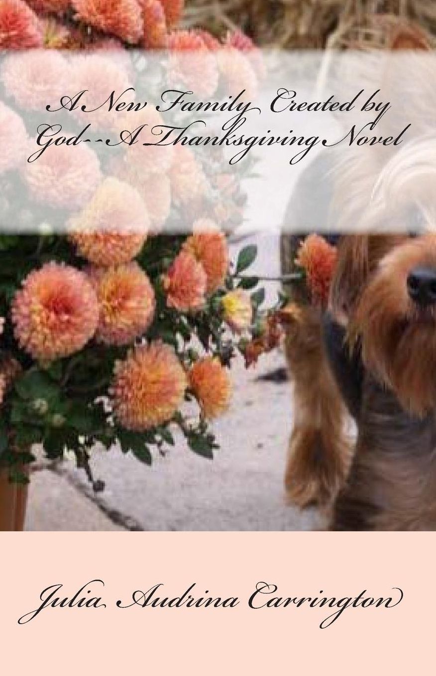 A New Family Created by God--A Thanksgiving Novel