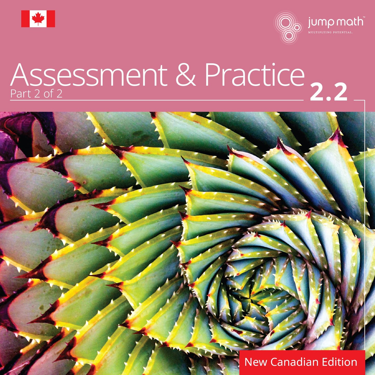 JUMP Math AP Book 2.2: New Canadian Edition