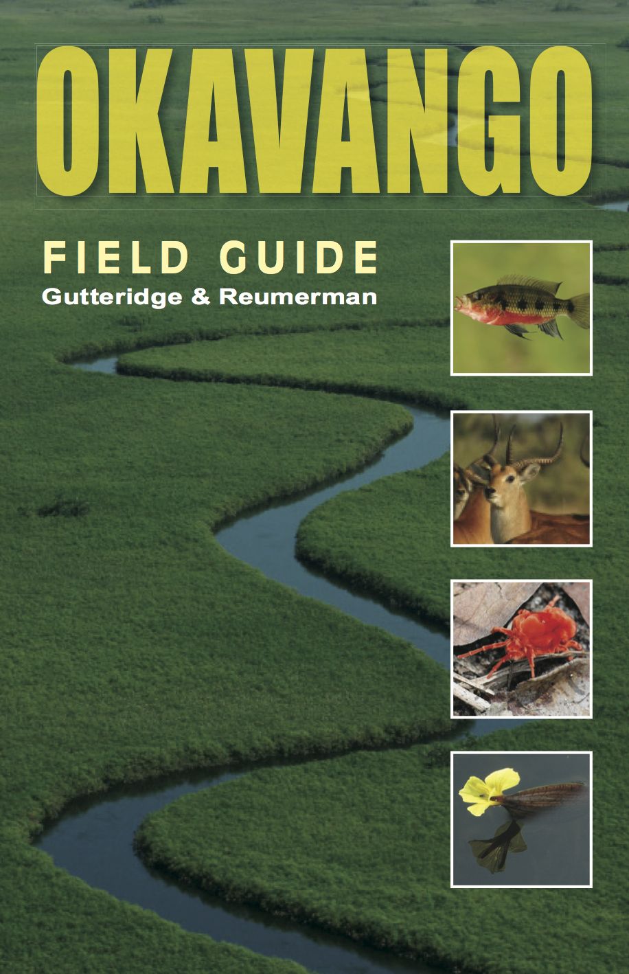 Okavango: A Field Guide