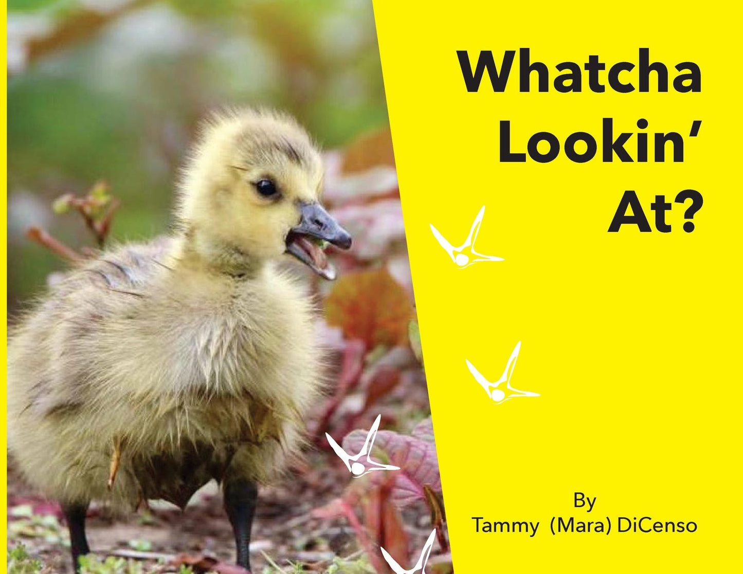 Whatcha Lookin' At?