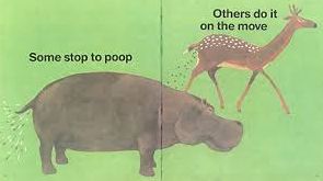 Everyone Poops