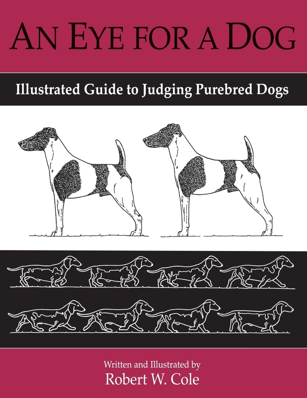 An Eye for a Dog: Illustrated Guide to Evaluating Purebred Dogs