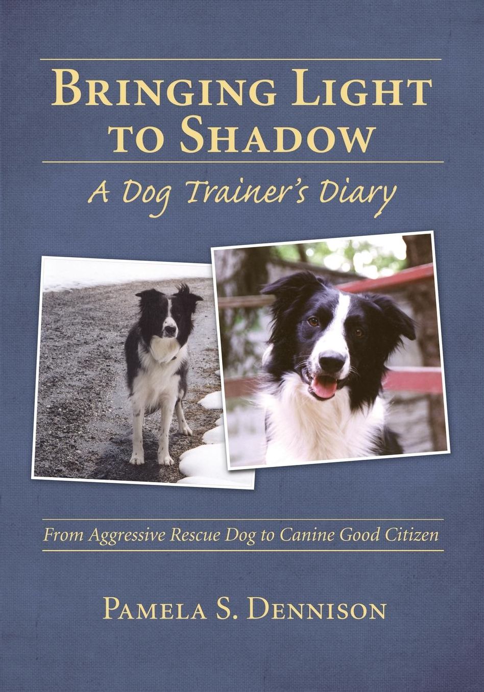 Bringing Light to Shadow: A Dog Trainer's Diary: From Aggressive Rescue Dog to Canine Good Citizen