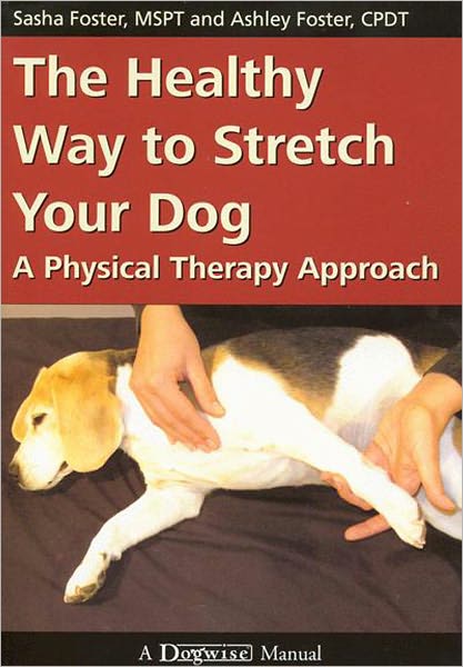 The Healthy Way to Stretch Your Dog A Physical Therapy Approach