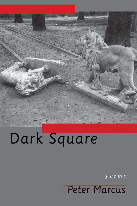Dark Square