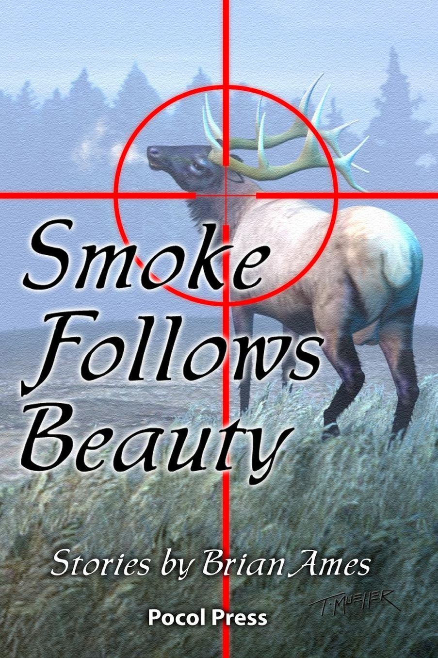 Smoke Follows Beauty