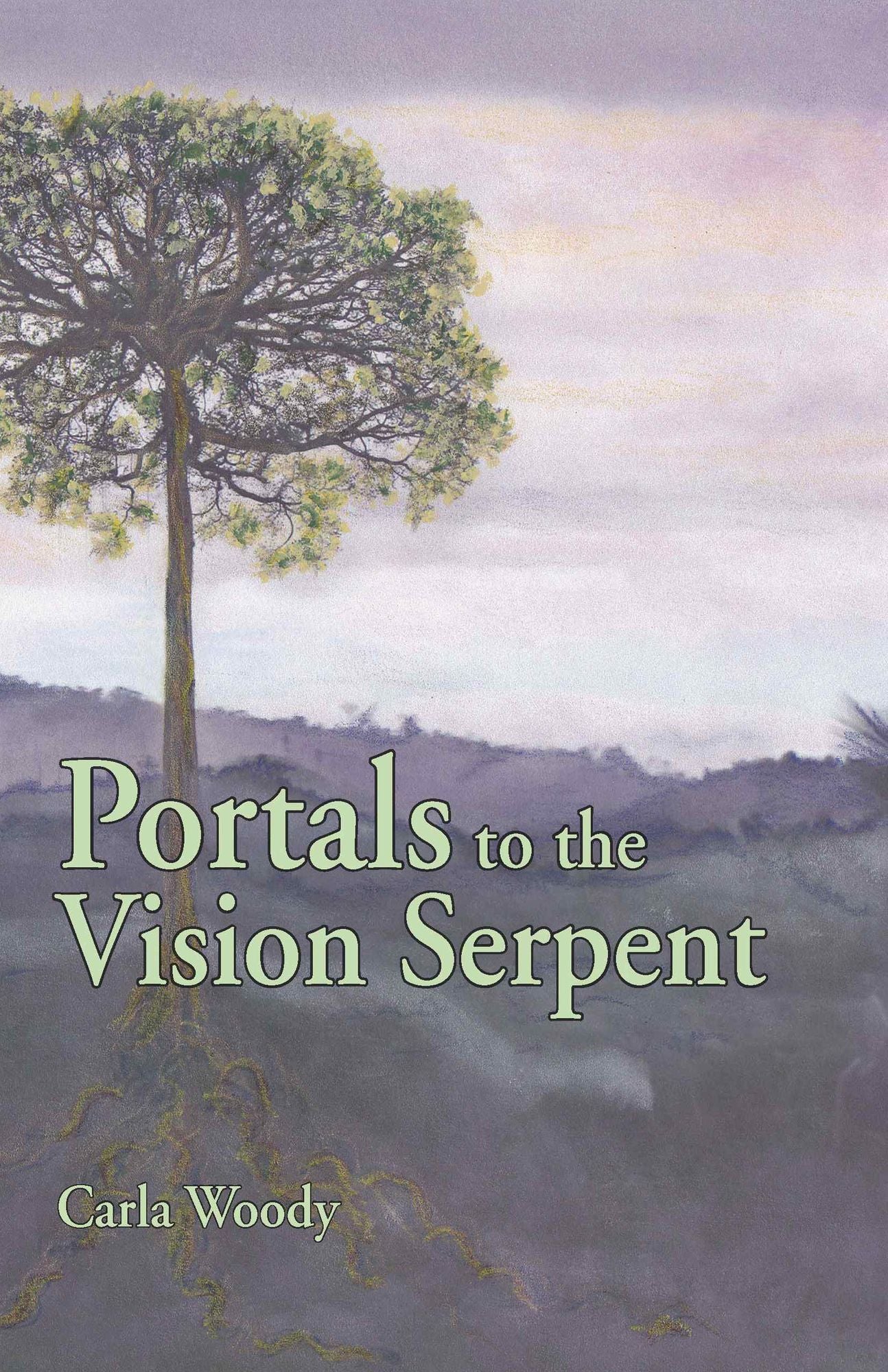 Portals to the Vision Serpent