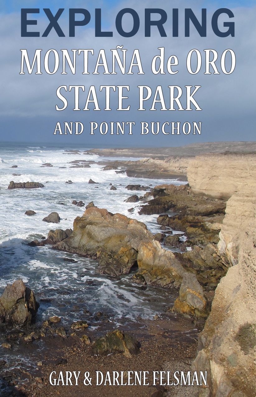 Exploring Montana de Oro State Park and Point Buchon
