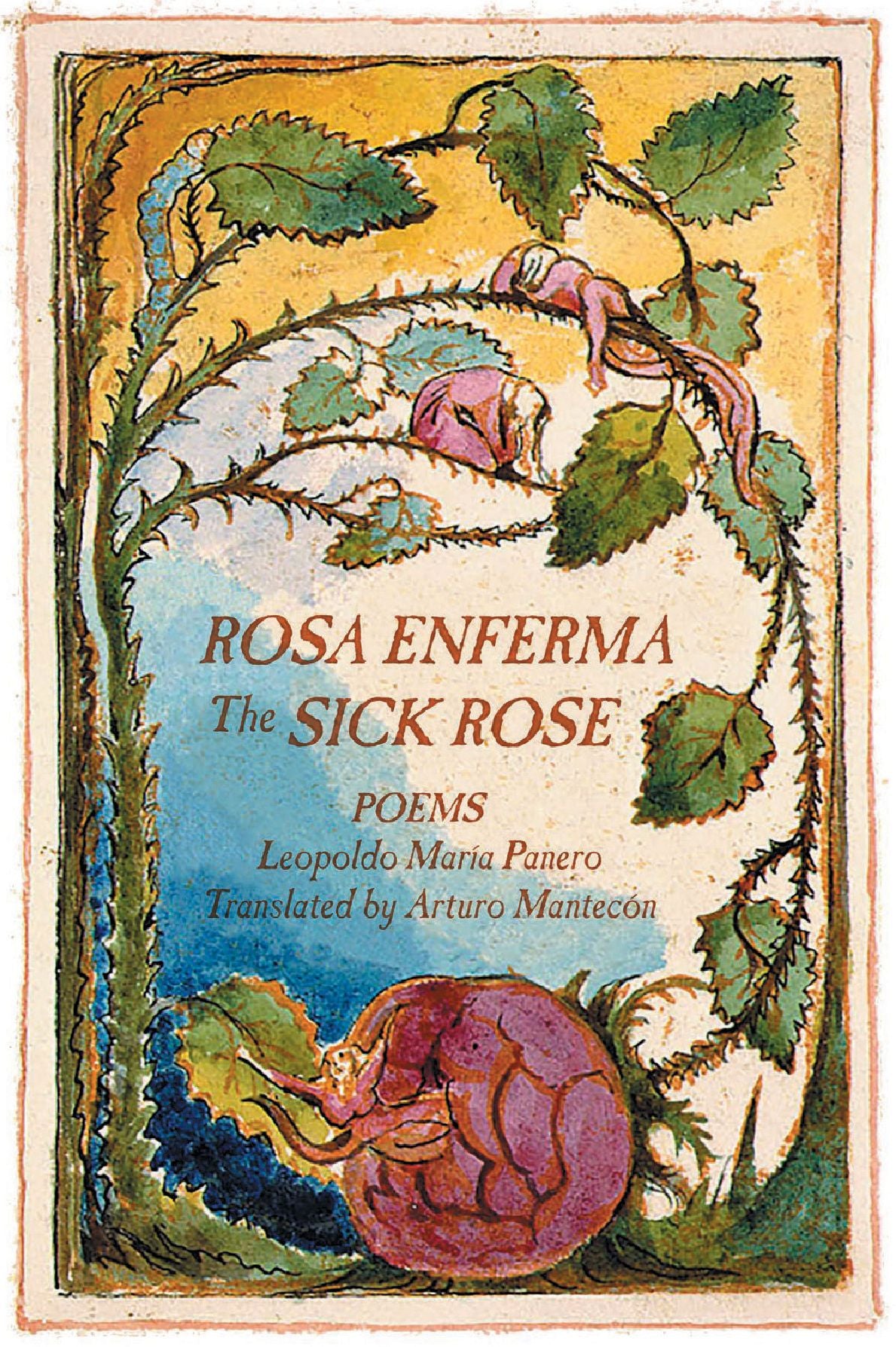 Rosa Enferma / The Sick Rose