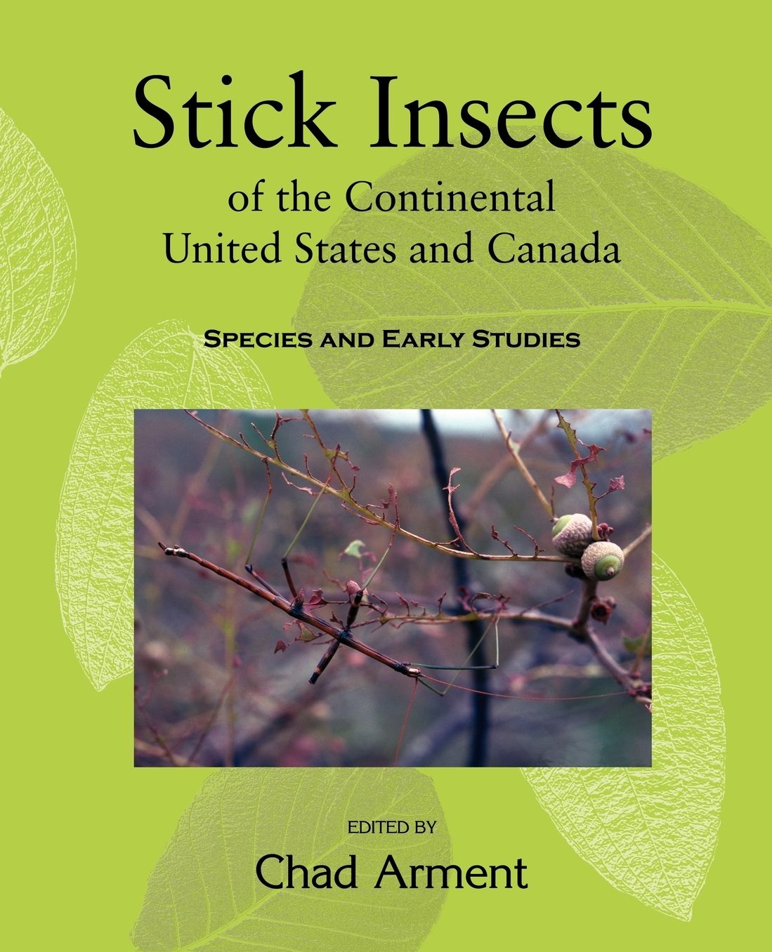 Stick Insects Of The Continental United States And Canada