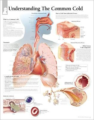 The Common Cold chart