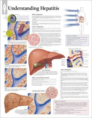 Understanding Hepatitis chart