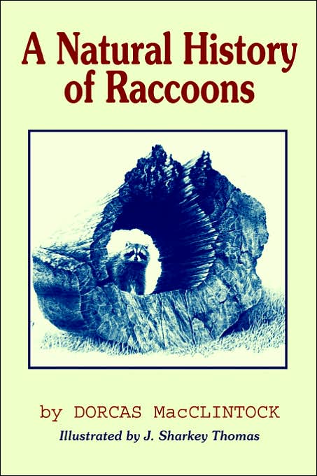 A Natural History Of Raccoons