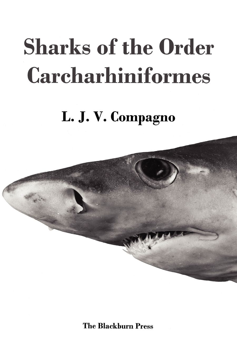 Sharks Of The Order Carcharhiniformes