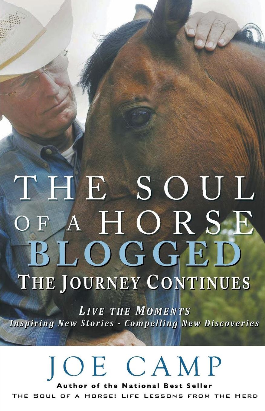 The Soul Of A Horse Blogged - The Journey Continues