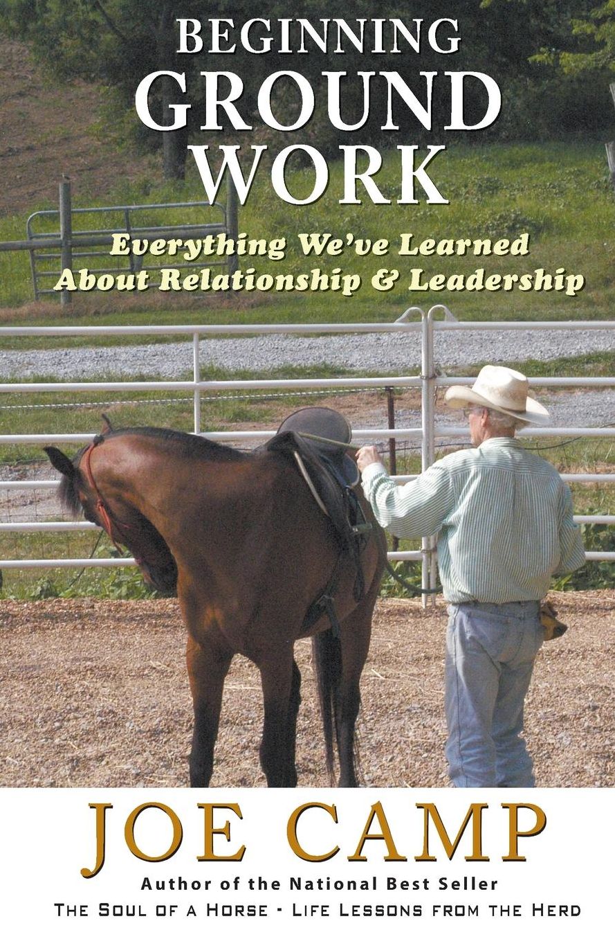 Beginning Ground Work - an eBook Nugget from the Soul of a Horse: Everything We've Learned about RElationship and Leadership