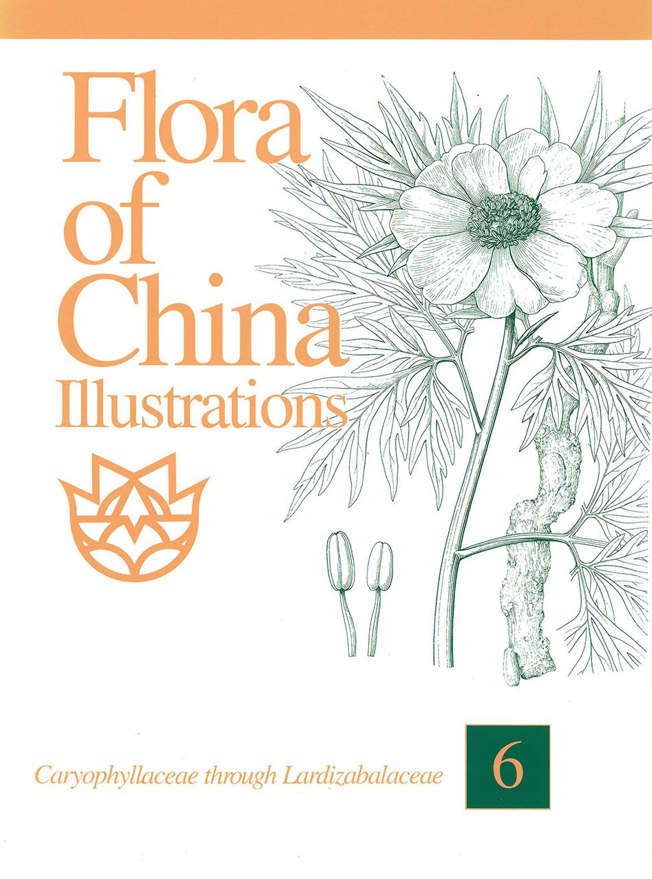 Flora of China Illustrations, Volume 6: Caryophyllaceae through Lardizabalaceae