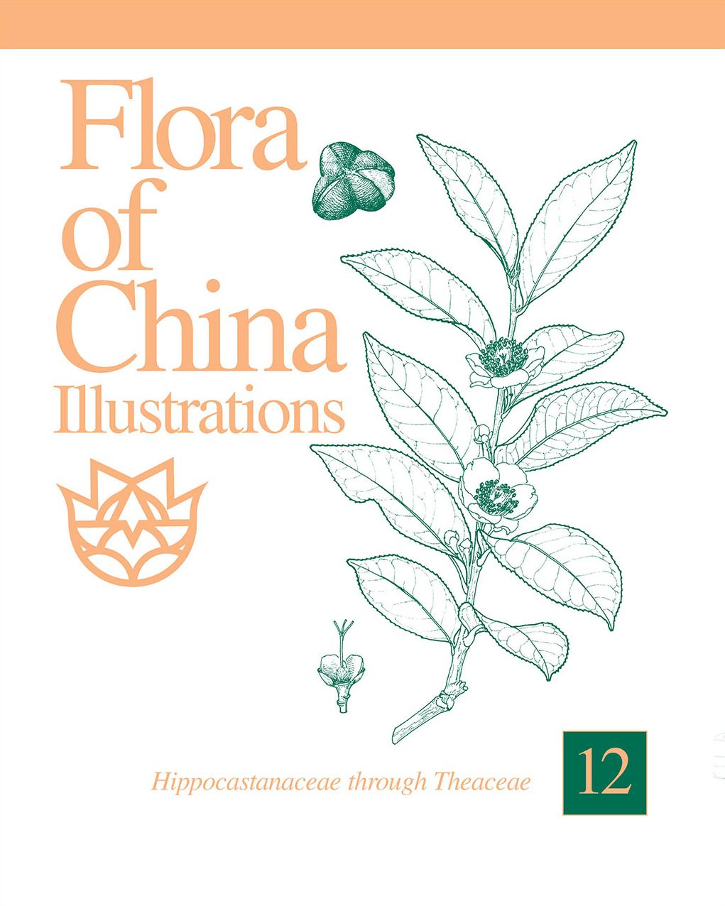 Flora of China Illustrations, Volume 12: Hippocastanaceae through Theaceae