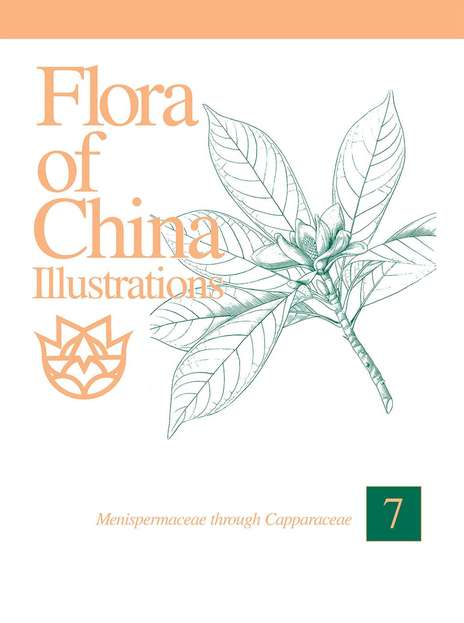 Flora of China Illustrations, Volume 7: Menispermaceae through Capparaceae