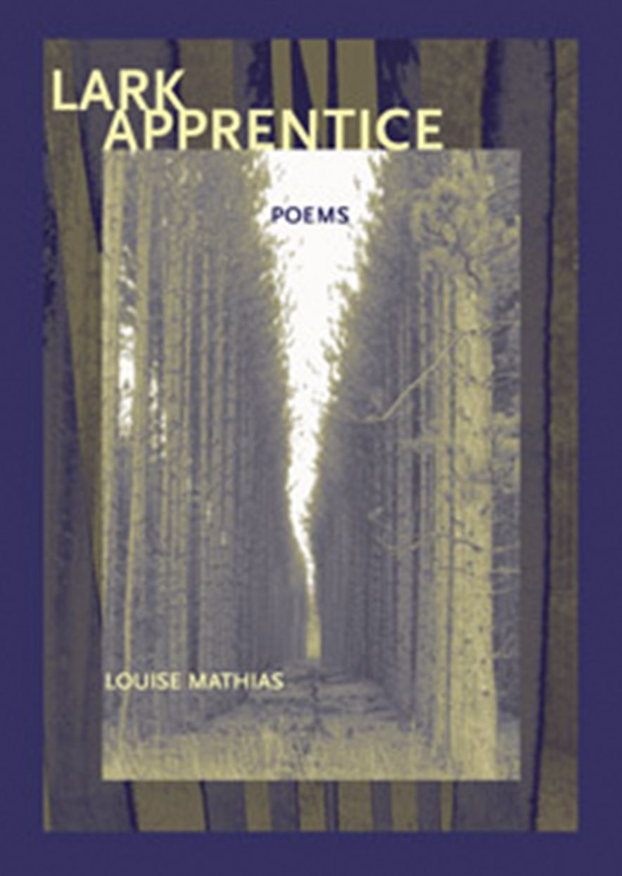 Lark Apprentice
